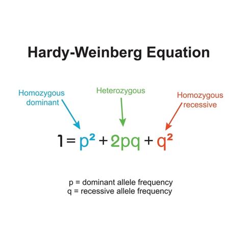 how to find genotype frequency