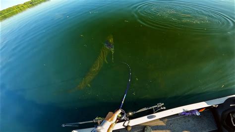 Fishing Ultra Clear Water For Musky Youtube