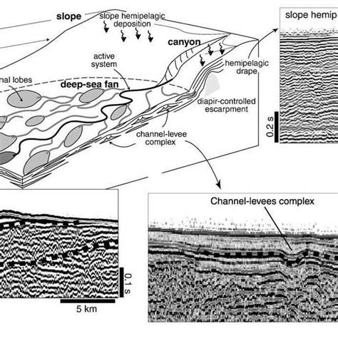 Block Diagram Showing The Schematic Spatial Distribution Of The Facies