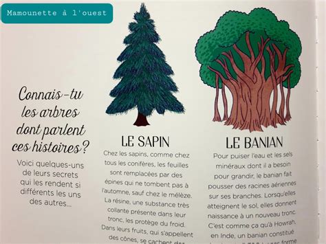 Les plus beaux contes des arbres autour du monde éditions Larousse