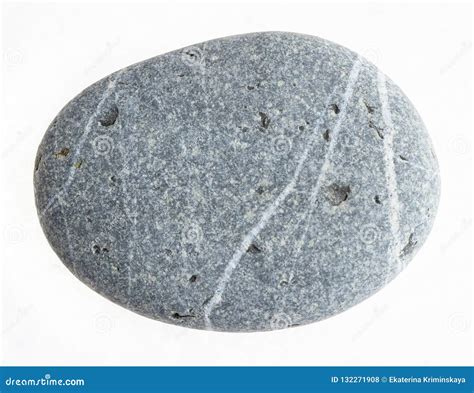 Pebble From Graywacke Sandstone On White Stock Photo Image Of Small