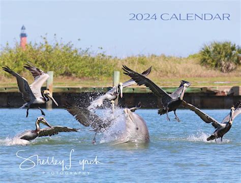 2024 calendars Photography Art | Shelley Lynch Photography