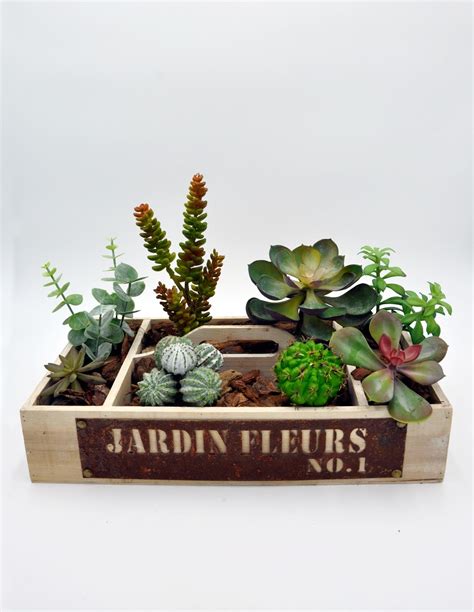 Composici N De Plantas Crasas Artificiales Con Caja De Madera