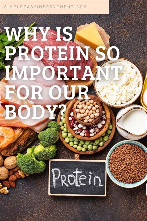 Why Is Protein So Important For Our Body Simple Easy