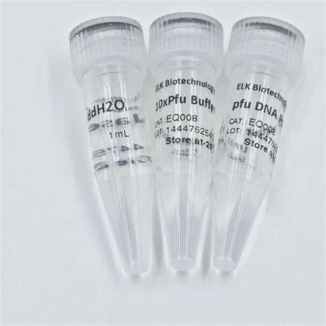 Pfu Dna Polymerase Vetroscientifica