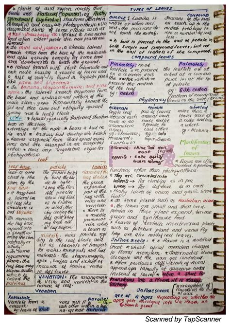 Solution Morphology Of Flowering Plants Neet Prep Ncert Simplified