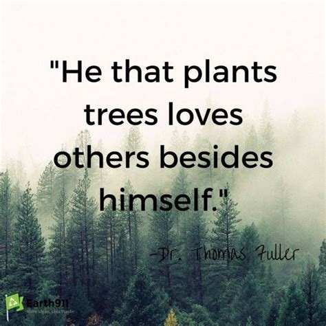 Tree Planting Quotes | Quotes For Your Soul