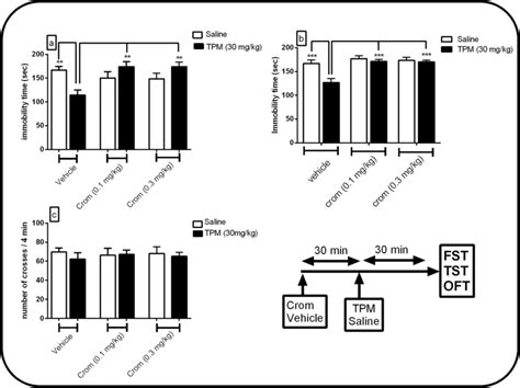 Effect Of Cromakalim Crom On Topiramate TPM Anti Immobility