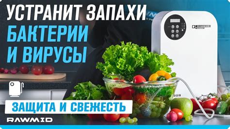 ОЗОНАТОР - ИОНИЗАТОР для дома, офиса, машины | Компактный защитник от ...
