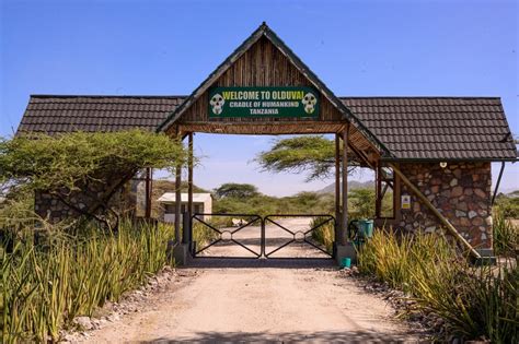 Olduvai Gorge Museum – Ngorongoro Conservation Area Authority (NCAA)