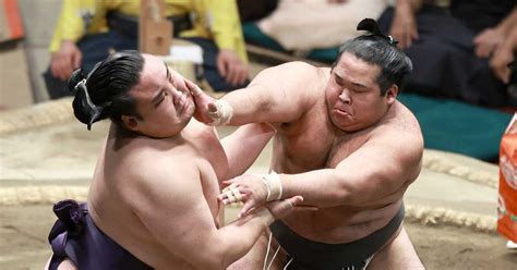 日体大出身の嘉陽、生田目が新十両 大相撲名古屋場所の番付編成会議 産経ニュース