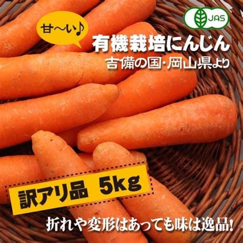 訳アリ 有機にんじん 5kg Jas認定 岡山県 無農薬オーガニック人参の通販 By のらくぼファーム｜ラクマ