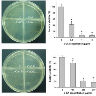 Reverse Phase Hplc Chromatography Of The Cis Cinnamic Acid And