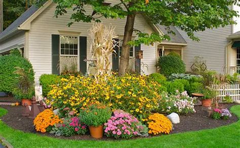 Easiest Flowers To Grow For A Fabulous Flower Garden The Homestead