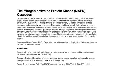 PPT - The Mitogen-activated Protein Kinase (MAPK) Cascades PowerPoint ... 