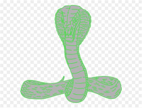 Viper Snake Clip Art Viper Clipart Flyclipart