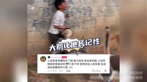 小孩哥拿鞭炮炸了鹅，结果被大鹅啄的嗷嗷叫，这次绝对长记性