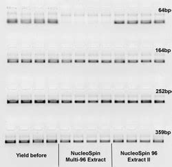 Macherey Nagel Bioanalysis NucleoSpin 96 Gel And PCR Clean Up Kit