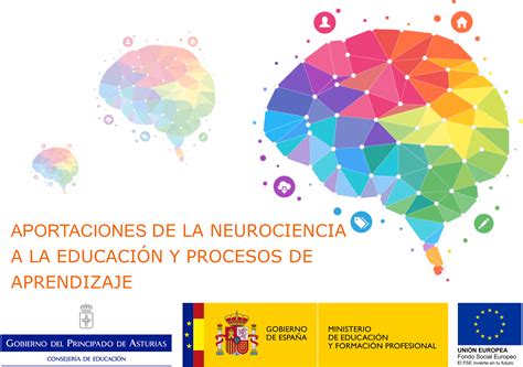 C Mo Aplicar Las Conclusiones De La Neurociencia En El Aula