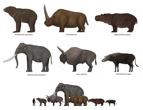 Mammals Prehistoric Animals - Pets Lovers