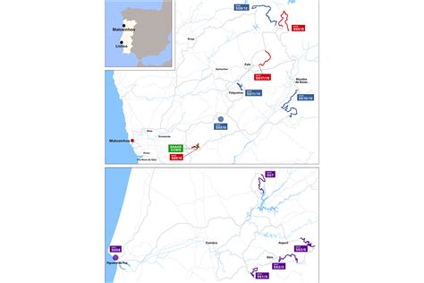 Wrcポルトガル事前情報：グラベル7連戦の初戦を飾る名物ラリー Rallyplusnet ラリープラス