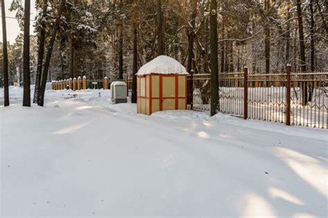 Ilmaisia Kuvia poika teini ikäinen paita menossa talvi kylmä