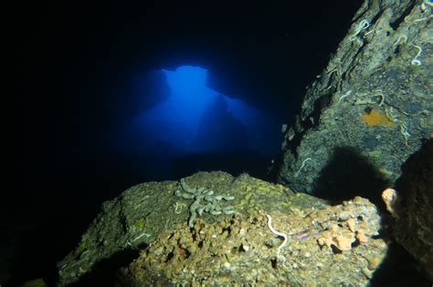 Ustica ~ Sailing Bubbles ~ Diving