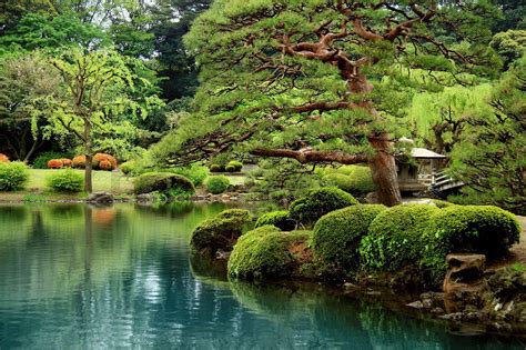 Bonsai Garden Wallpapers Top Free Bonsai Garden Backgrounds