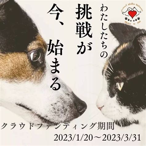 【クラウドファンディング終了まで61日】 │ 一般社団法人あにまるシェルターひだまり