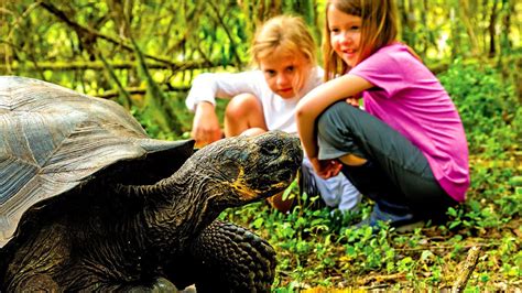 Galapagos Tours National Geographic - Tour Choices