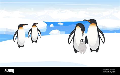 South pole wildlife flat vector illustration. Emperor penguins breed on ...