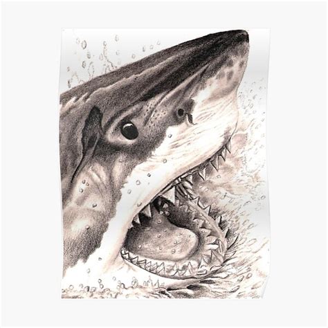 "Great White Shark" Poster for Sale by VeriArt | Redbubble