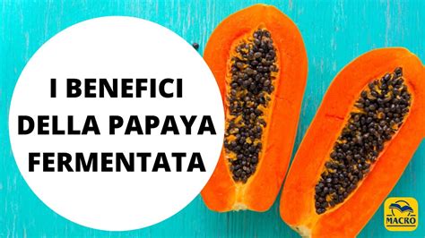 Papaya Fermentata Cos I Benefici E Le Propriet Antiossidanti E Gli