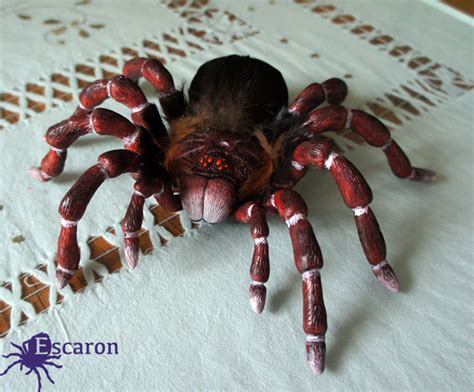 COMM: Goliath Tarantula - Sculpture by Escaron on DeviantArt