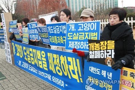 시민단체 개·고양이 도살금지법 제정 촉구 네이트 뉴스