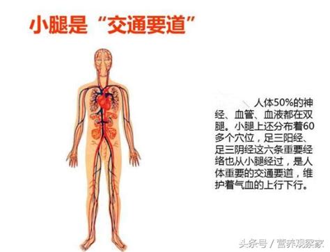 它是人體第二心臟，做好這4點，50歲後都不易生病！ 每日頭條