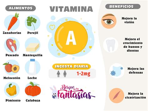 Conoce Estas Vitaminas Fundamentales Para Una Buena Salud Beneficios