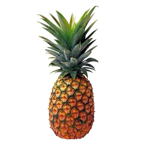 Pineapple Fruit Png