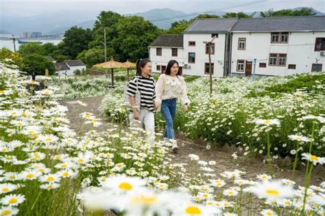 宁波7部门，联合助推艺术赋能乡村界面新闻