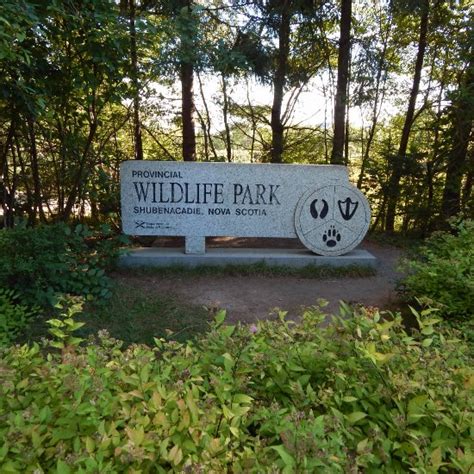 Shubenacadie Wildlife Park - All You Need to Know Before You Go - TripAdvisor