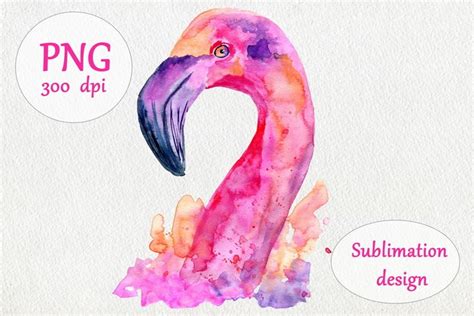 Watercolor Pink Flamingo Sublimation Design Png