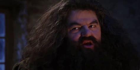 Harry Potter Hagrids 10 Best Quotes Ranked