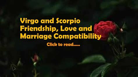 Virgo And Scorpio Compatibility Friendship Love And Marriage Lifeinvedas