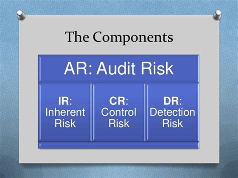 Audit risk model