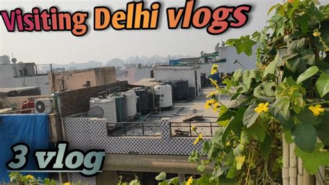 south delhi market  vlog ashu yadav youtube