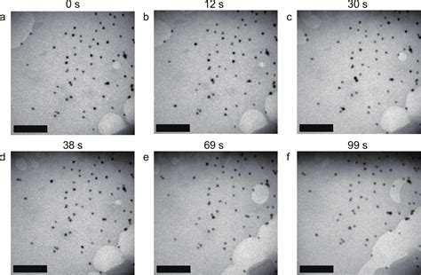 Liquid Cell Transmission Electron Microscopy For Tracking Self Assembly