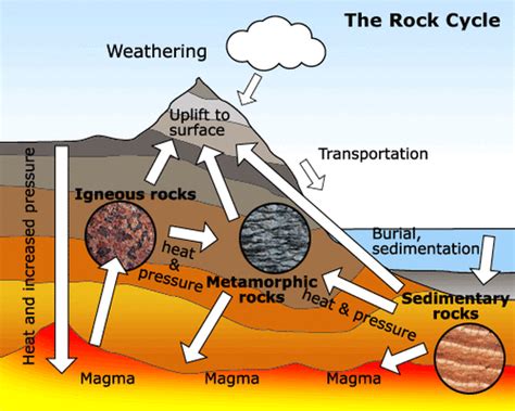 AP Notes - Rock Cycle and Formation - AP Environmental Science