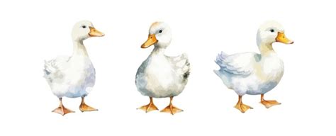 1,028 Duck Watercolor Yellow Cute Images, Stock Photos, 3D objects ...