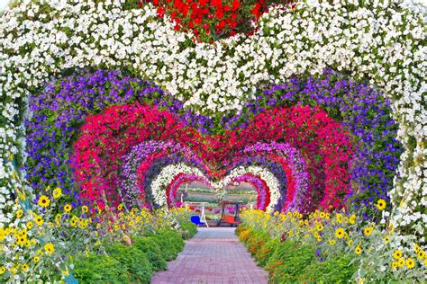 Dubai Miracle Garden Tickets Timetables And Useful Information For