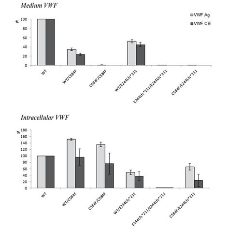 Vwf Multimer Pattern From Cell Lysates Of Hek293t Cells Transiently Download Scientific Diagram